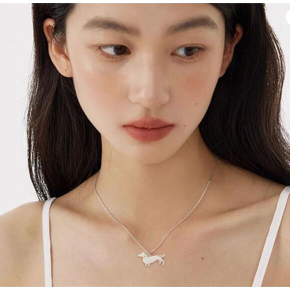 Stainless Steel Dachshund DOG Necklace Men Women Teens - Picture 4 of 6